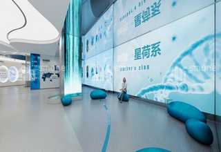 丽江阳光益生菌作用与功效